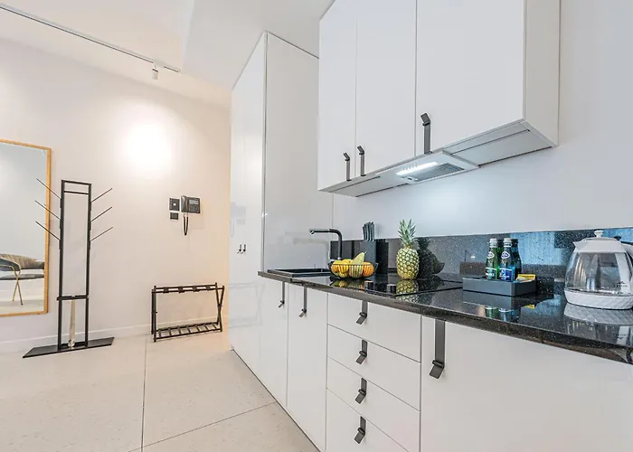 Apartment Deo Plaza Wyspa Spichrzow By Renters *